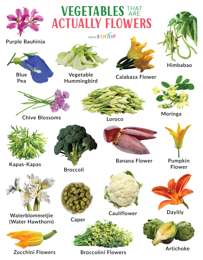 Flower vegetables