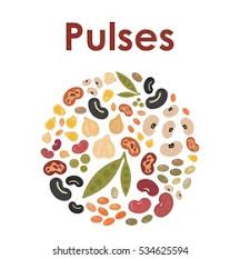 Pulses & Lentils