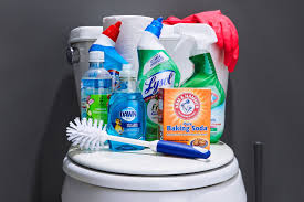 Toilet Cleaners