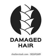 Dry and Damaged Hair